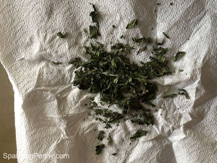 crushed mint leaves on a paper towel after microwaving