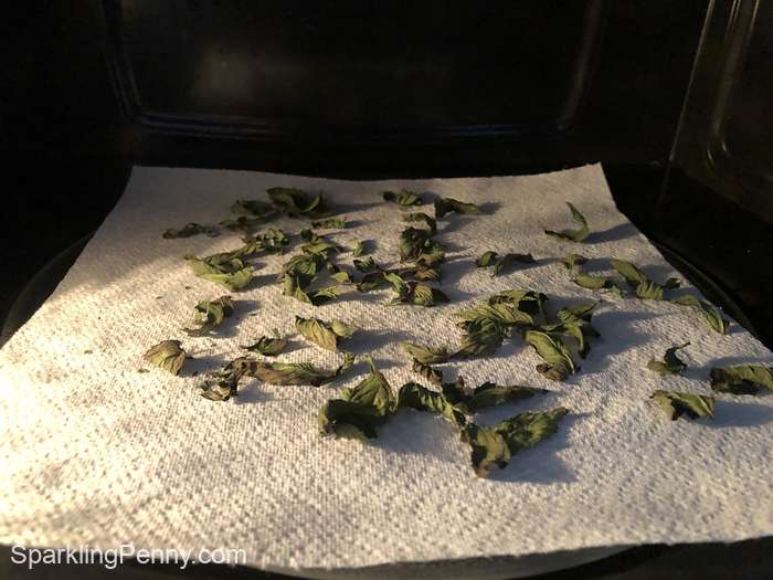 mint leaves in the microwave
