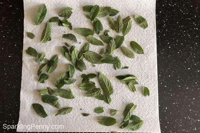 mint leaves laid out on a paper towel