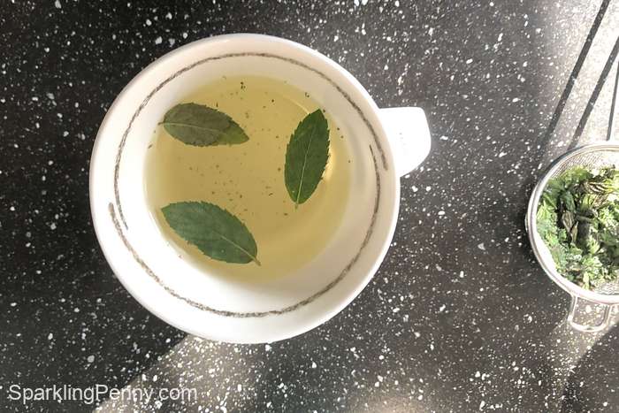 mug of mint tea