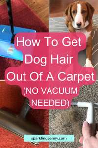 How To Get Dog Hair Out Of A Carpet Without A Vacuum