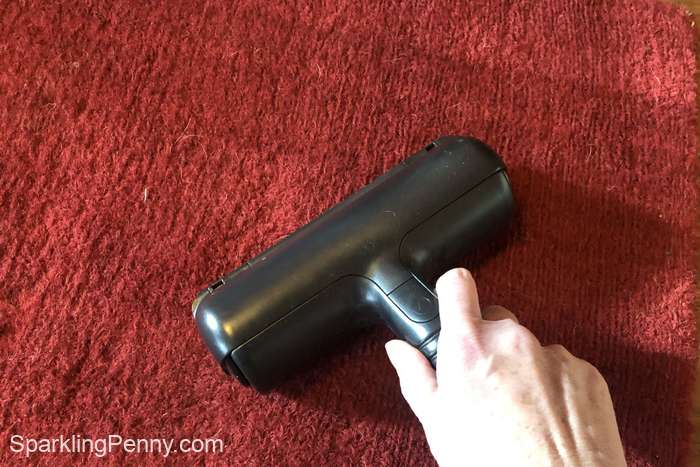 removing hair from a carpet with a pet hair roller