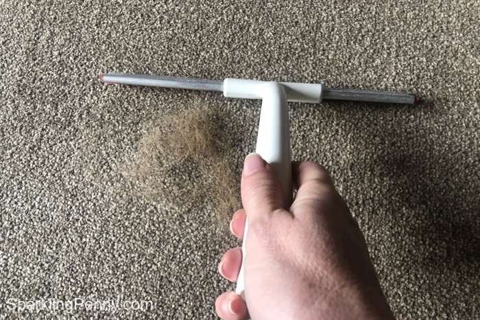 removing pet hair from a carpet with a squeegee