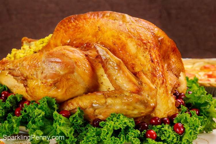 how to keep turkey warm without drying it out