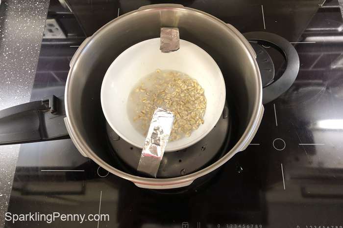 oats in a pressure cooker ready for cooking