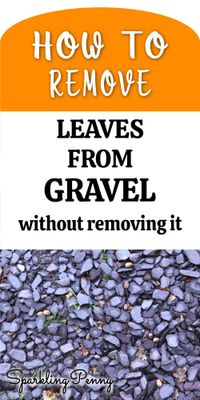 How To Remove Leaves From Gravel (without removing the gravel too)