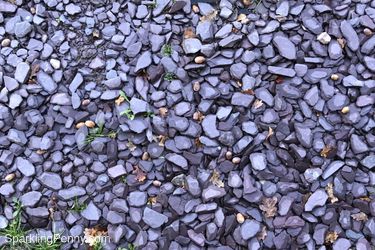 how to remove leaves from gravel