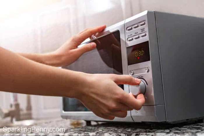cooking in a microwave
