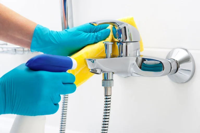 bathroom cleaning