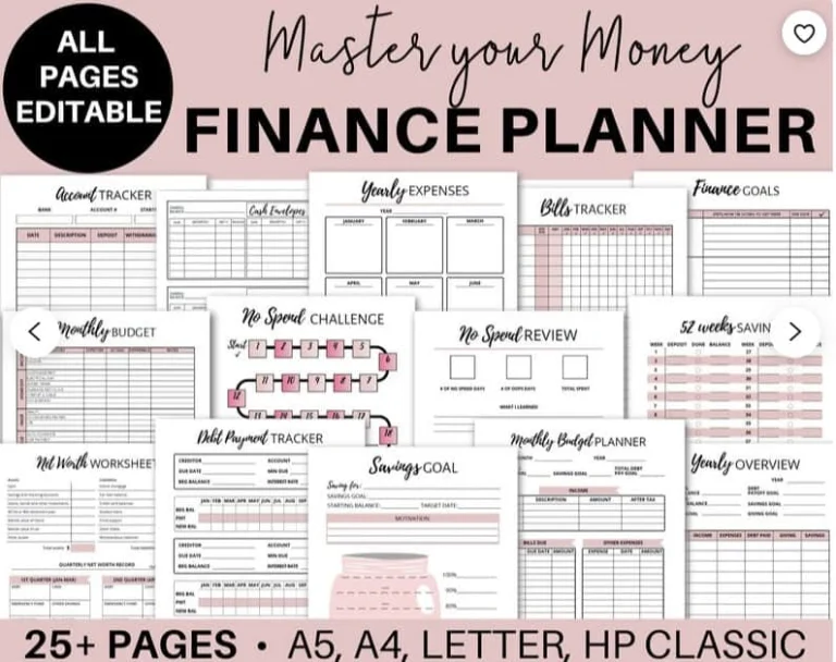 5 Best Budget Planners For Beginners (and non-techs) - Sparkling Penny