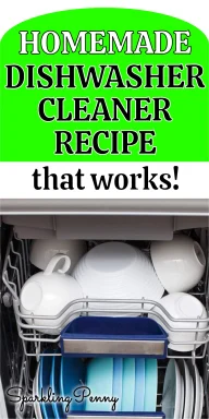 How To Make Homemade Dishwasher Cleaner - Sparkling Penny