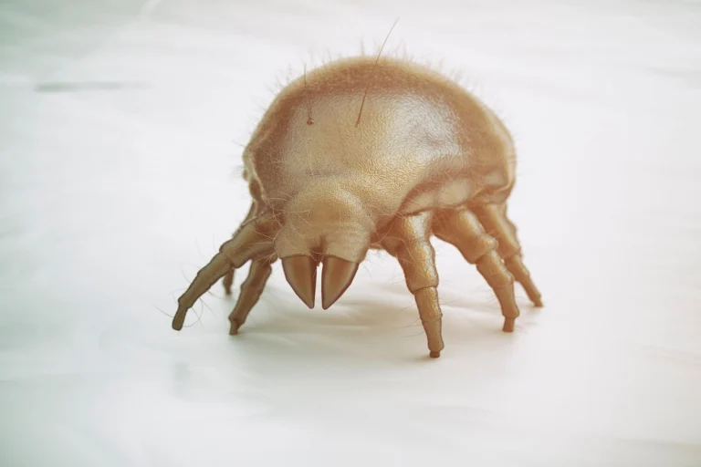 Homemade Mattress Spray for Dust Mites