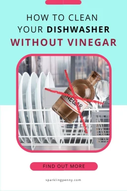 How To Clean A Dishwasher Without Vinegar ( 5 natural alternatives