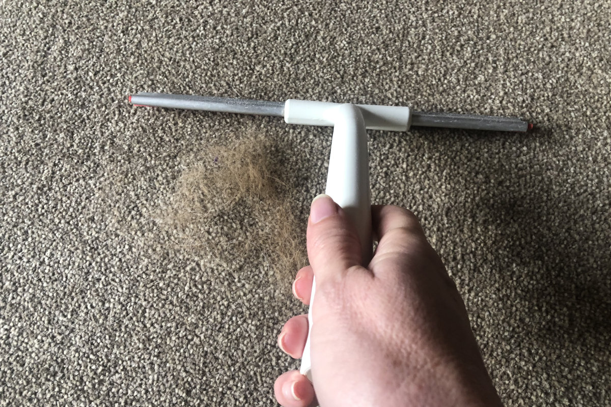 How To Effectively Get Pet Hair Out Of Your Carpet: No Vacuum Required